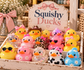 Squishy Ducks